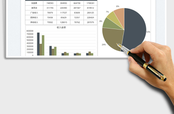 2025企业收入来源数据图表分析免费下载