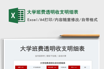 2025大学班费透明收支明细表免费下载