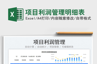 2025项目利润管理明细表免费下载