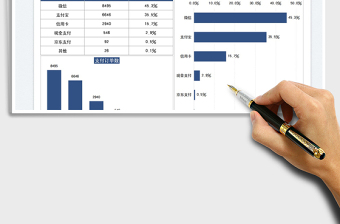 2025运营分析支付渠道统计图表免费下载