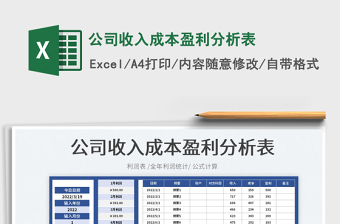 2025公司收入成本盈利分析表免费下载