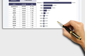 2025出资占比数据图表免费下载