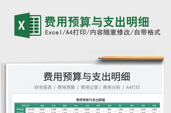 2025费用预算与支出明细免费下载