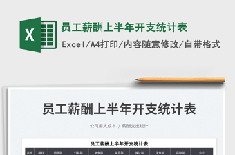 2025员工薪酬上半年开支统计表免费下载