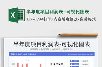 2025半年度项目利润表-可视化图表免费下载