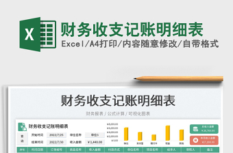 大学生收支记账明细表