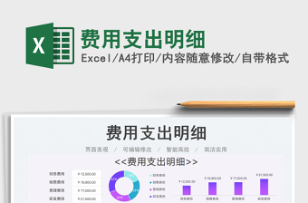 2025费用支出明细免费下载