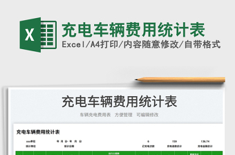 2025充电车辆费用统计表免费下载