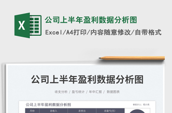 2025公司上半年盈利数据分析图免费下载