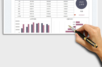 2025公司上半年盈利数据分析图免费下载