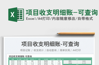 2025项目收支明细账-可查询免费下载