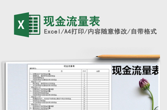 2024现金流量表exce表格