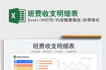 2025班费收支明细表免费下载