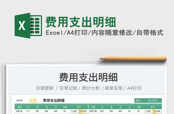 2025费用支出明细免费下载
