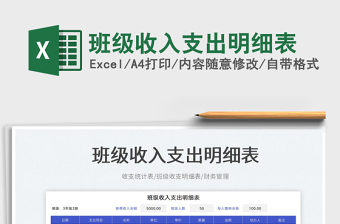 2025班级收入支出明细表免费下载