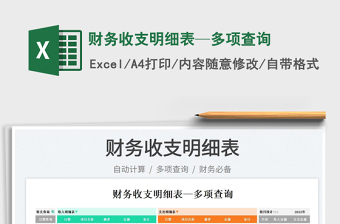 2025财务收支明细表—多项查询免费下载
