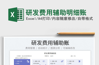 2025研发费用辅助明细账