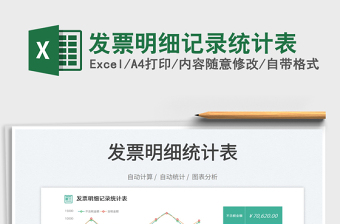 2025发票明细记录统计表