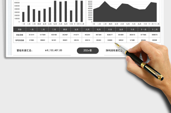 2025财务利润与营收额分析图
