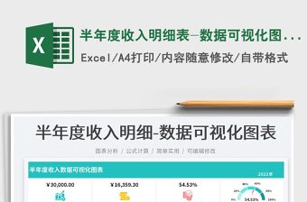 2025半年度收入明细表-数据可视化图表