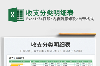 2025收支分类明细表