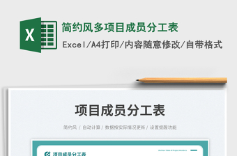 2025简约风多项目成员分工表