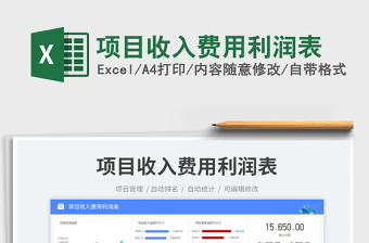 2025项目收入费用利润表