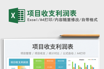 2025项目收支利润表