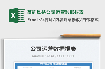 2025简约风格公司运营数据报表