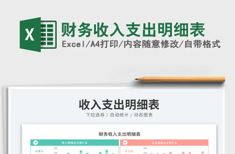 2025财务收入支出明细表