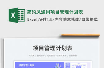 2025简约风通用项目管理计划表
