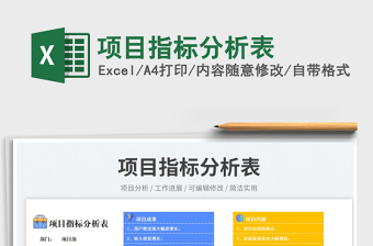 2025项目指标分析表