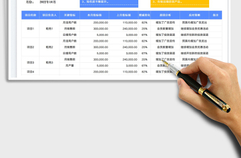 2025项目指标分析表