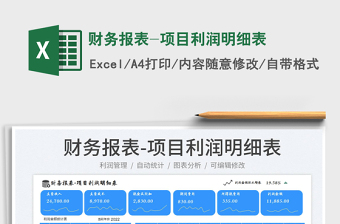 2025财务报表-项目利润明细表