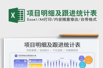 2025项目明细及跟进统计表