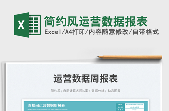 2025简约风运营数据报表