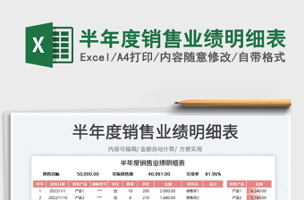 2025半年度销售业绩明细表