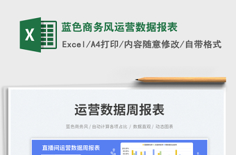 2025蓝色商务风运营数据报表