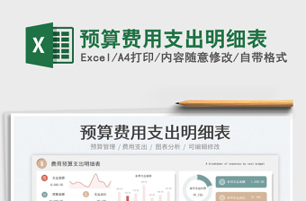 2025预算费用支出明细表