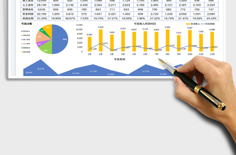 2025财务利润分析报表