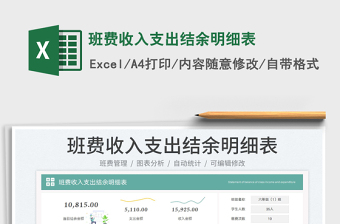 2025班费收入支出结余明细表