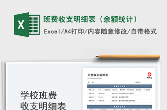 班费收支明细表模板