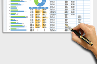 2025项目收支统计表