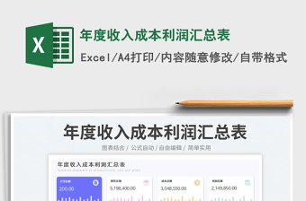 2025年度收入成本利润汇总表