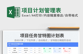 2025项目计划管理表