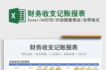 2025财务收支记账报表