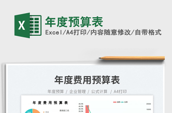 2025年度预算表免费下载