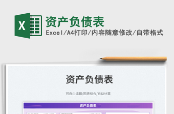 2025资产负债表随机数据生成器