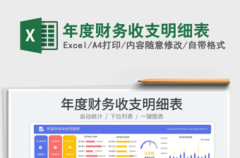 2025年度财务收支明细表免费下载