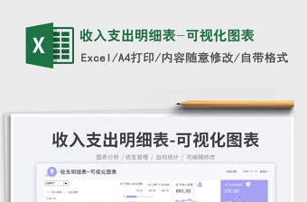 2025收入支出明细表-可视化图表免费下载